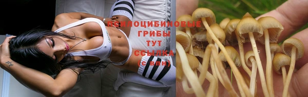 дживик Баксан
