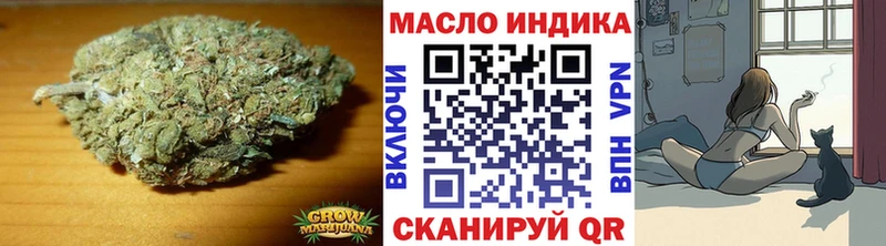 Купить закладки  Старая Русса  ТГК жижа 