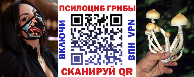 Купить  Старая Русса  Псилоцибиновые грибы Magic Shrooms 